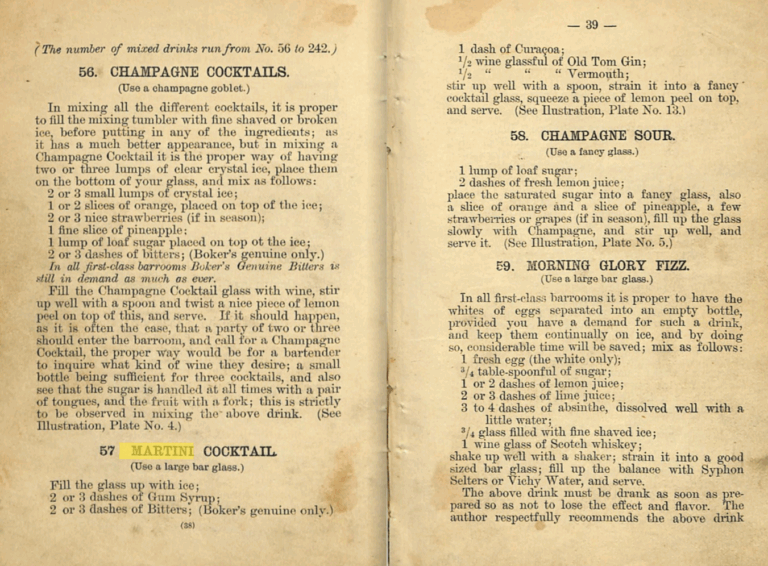 Martini Cocktail Recipe